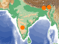 インドの代表的産地